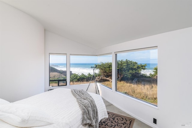 bedroom featuring a water view, baseboards, multiple windows, and vaulted ceiling