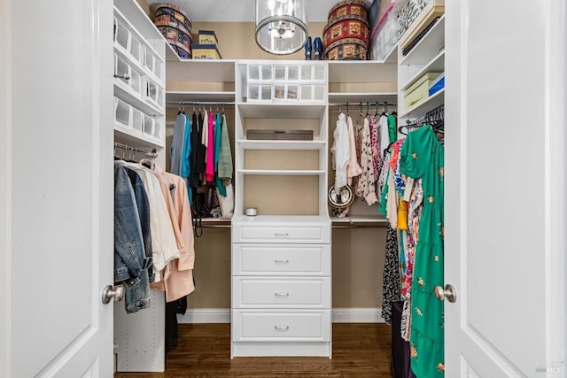 spacious closet with dark wood finished floors