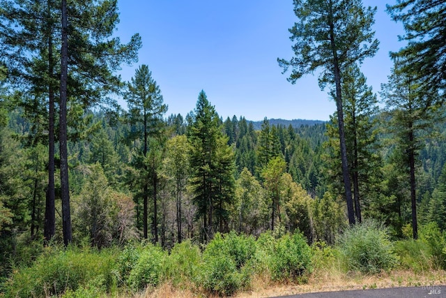 view of nature featuring a forest view
