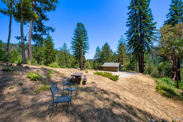 surrounding community with a view of trees and dirt driveway