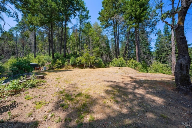 view of yard featuring a view of trees