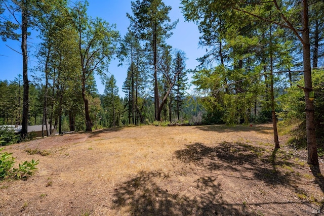 view of landscape featuring a forest view