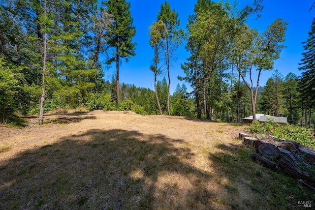 view of yard with a forest view