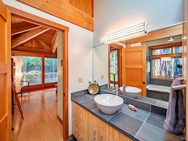 bathroom with wood finished floors, vanity, and a wealth of natural light