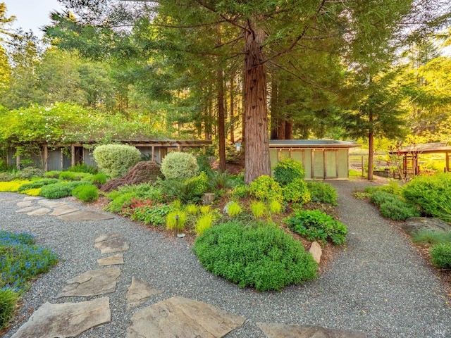 view of yard