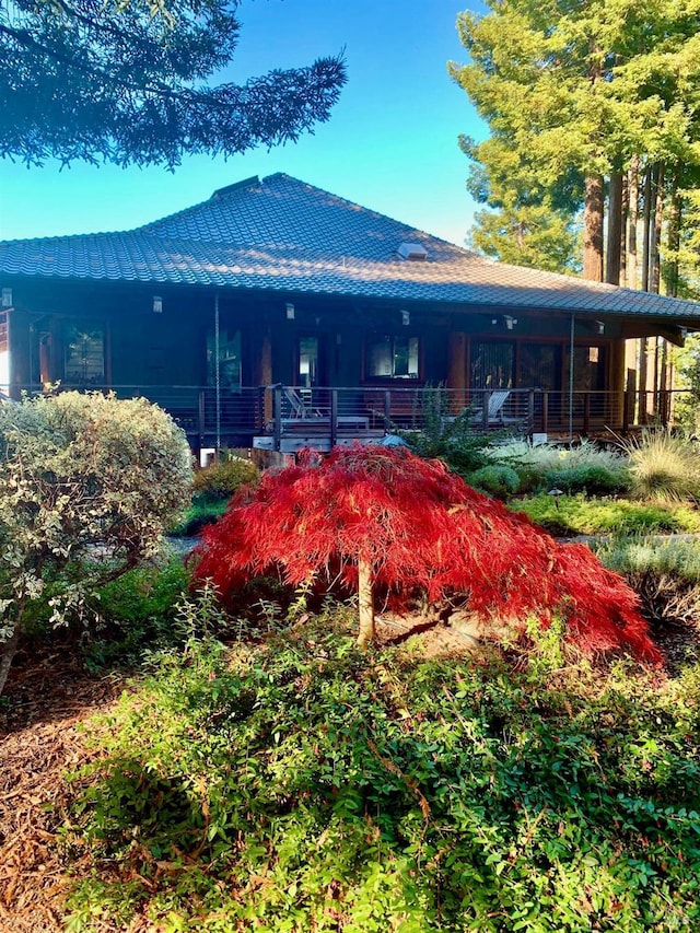 back of house with covered porch
