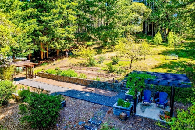view of yard with a patio area