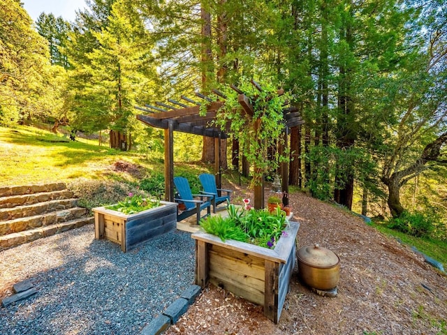surrounding community featuring a pergola and a patio area