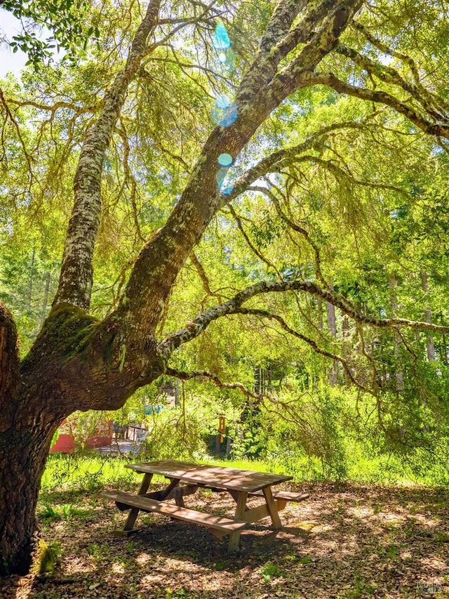 view of community with a wooded view