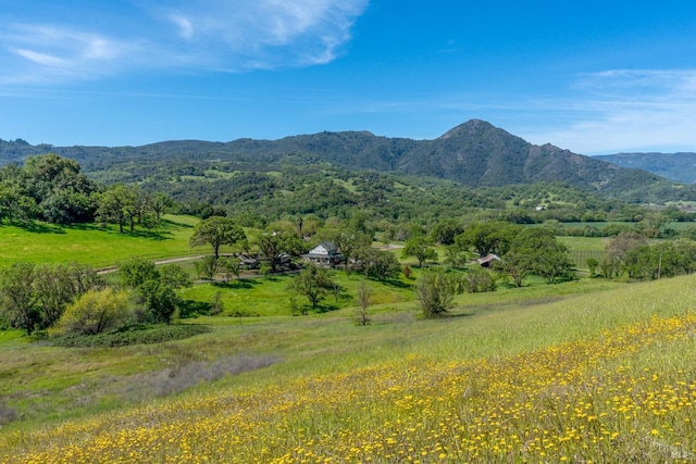 mountain view featuring a rural view