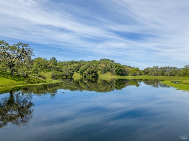 water view with a view of trees