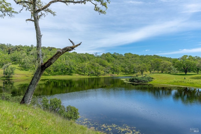 view of water feature with a view of trees