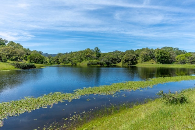 view of water feature featuring a forest view