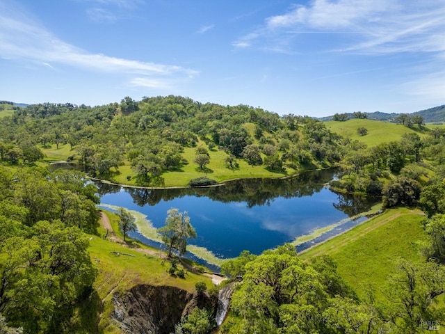 birds eye view of property featuring a water view and a wooded view