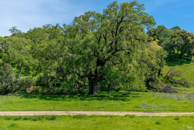 view of nature featuring a view of trees