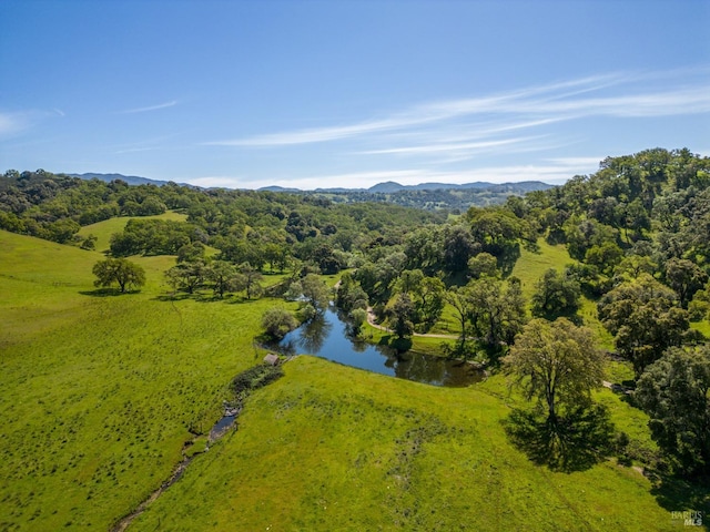 birds eye view of property with a water and mountain view