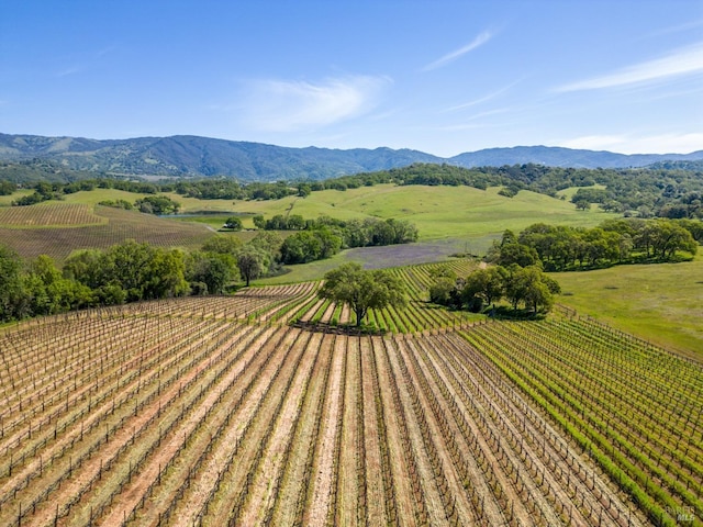 view of mountain feature featuring a rural view