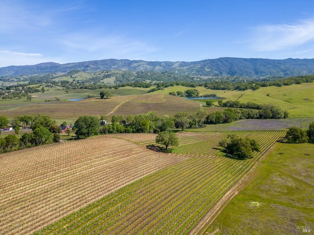 bird's eye view featuring a rural view and a mountain view