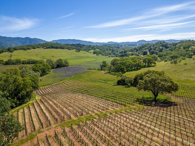 drone / aerial view with a rural view and a mountain view