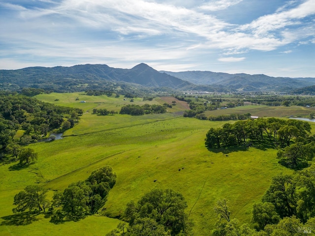 aerial view with a mountain view