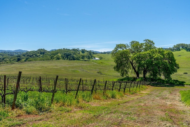 view of yard with a rural view, a mountain view, and fence