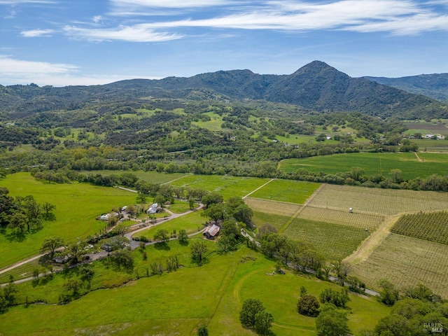 birds eye view of property featuring a mountain view and a rural view