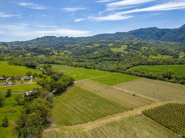 drone / aerial view featuring a rural view and a mountain view