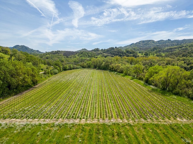 drone / aerial view with a mountain view and a rural view