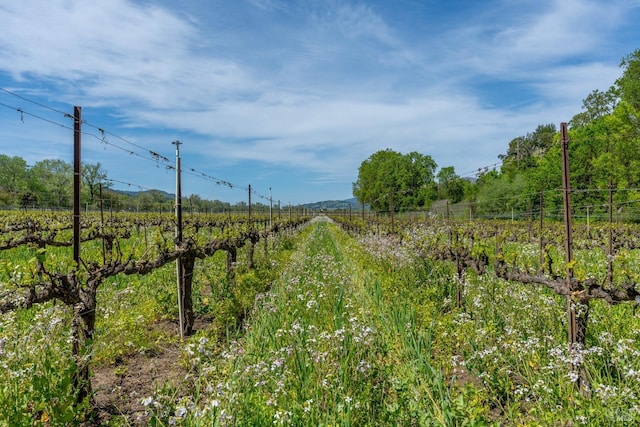 view of local wilderness featuring a rural view