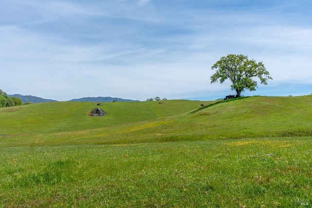mountain view