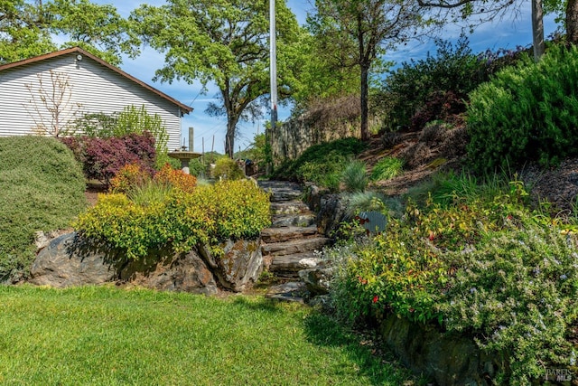 view of yard