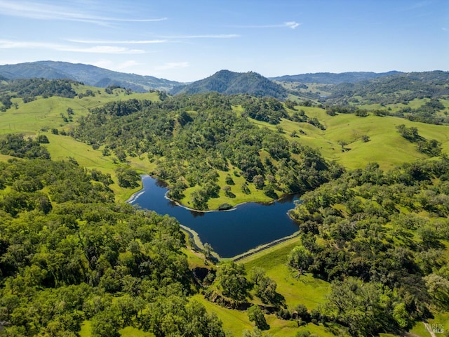 drone / aerial view with a water and mountain view