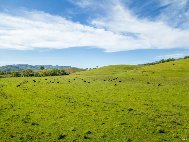 view of mountain feature featuring a rural view