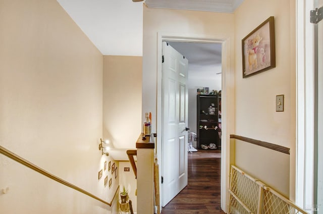 hall with dark wood-type flooring