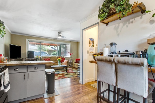 kitchen with light wood-type flooring, a ceiling fan, ornamental molding, gray cabinets, and open floor plan