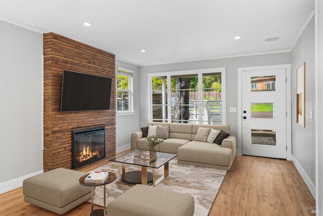 living room featuring ornamental molding, baseboards, and wood finished floors