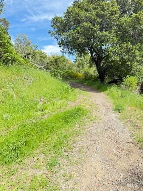 148 Ridgeway Ave, Fairfax, CA 94930 - view of road