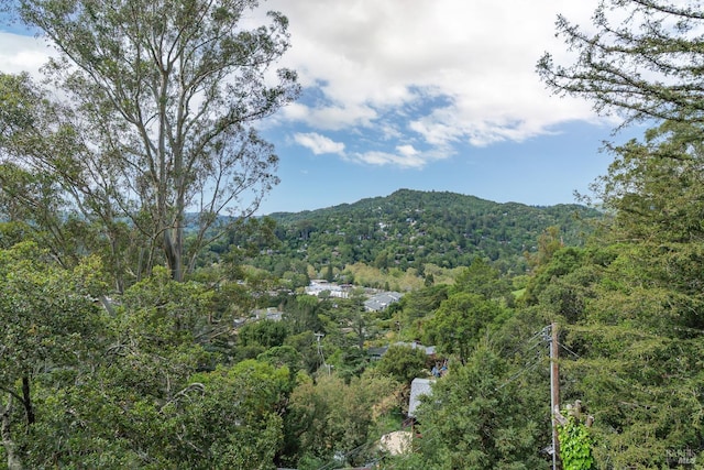 148 Ridgeway Ave, Fairfax, CA 94930 - view of mountain backdrop with a forest