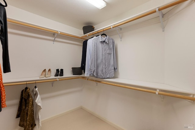 spacious closet featuring carpet flooring
