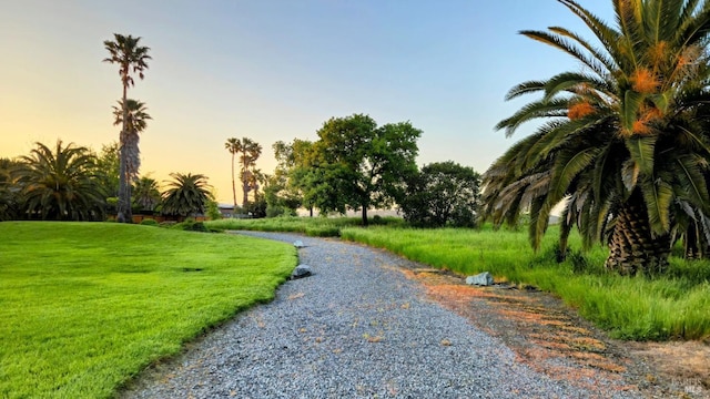 view of home's community