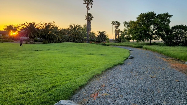 view of community with a lawn