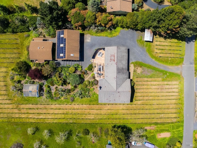 bird's eye view