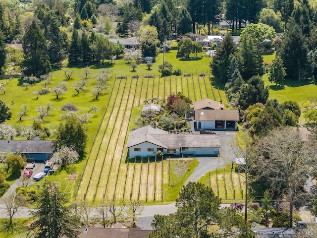 aerial view