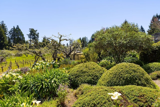 view of home's community
