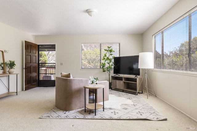 living room with carpet flooring