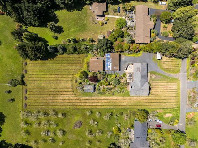 drone / aerial view featuring a rural view