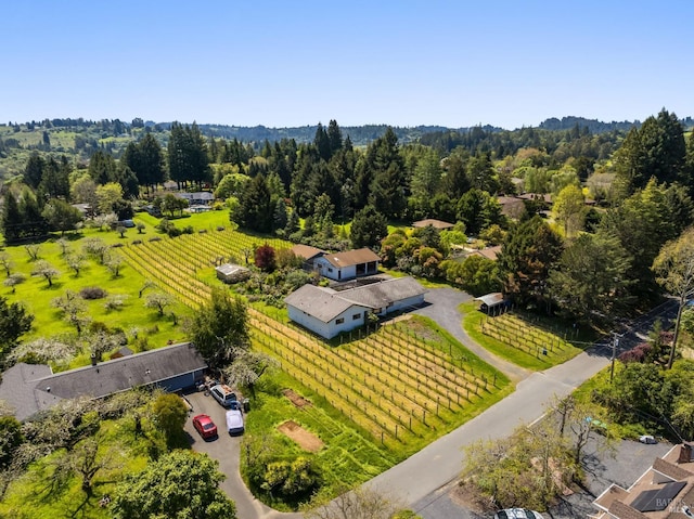 birds eye view of property with a rural view