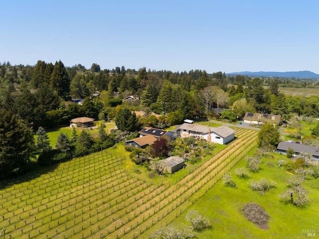 aerial view with a rural view