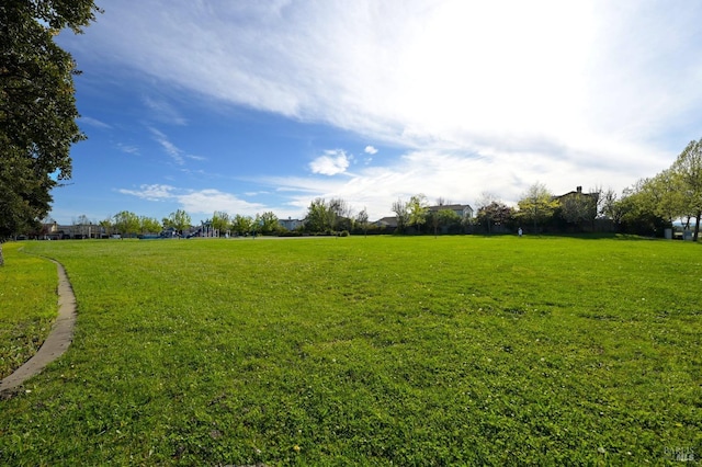 view of yard