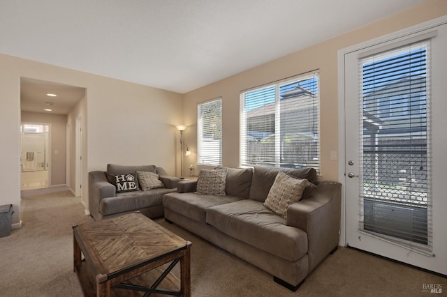 living room featuring carpet floors